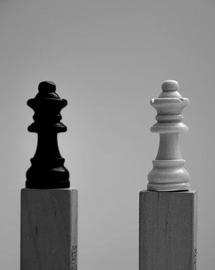 reyna-LVADbQTjMcE-unsplash 1