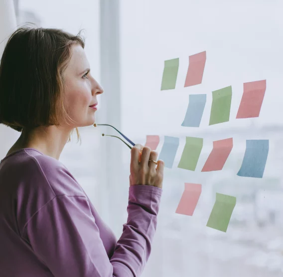 expert-witness-planning-appeals-img1