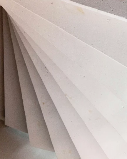 expert witness planning appeals img2