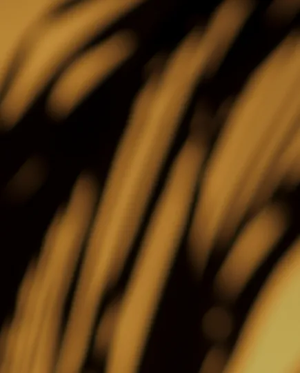 project coordination 3