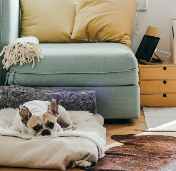 property-management-liason-2