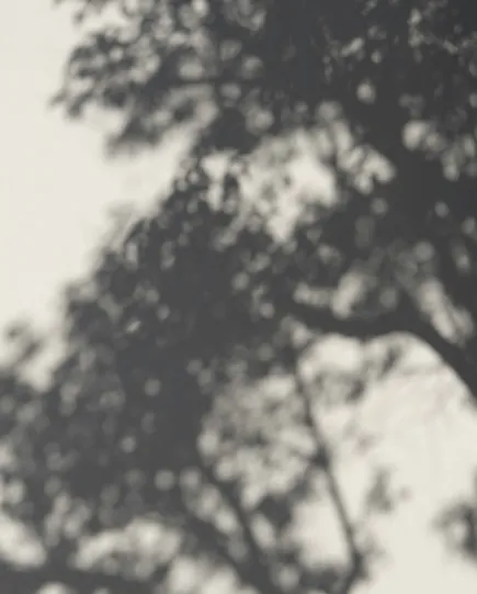 property management liason 3