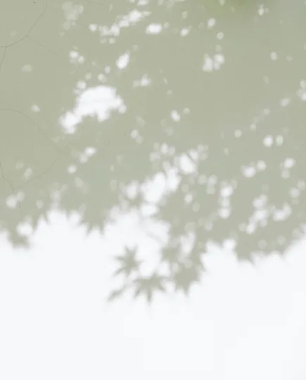 subdivision project management 3